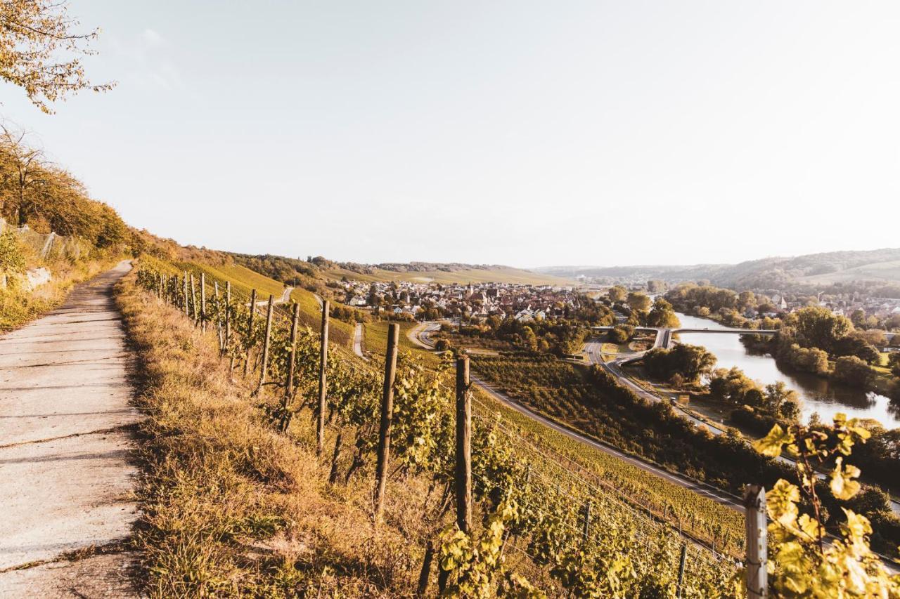 Weingut Pastoriushaus - Artur Steinmann Otel Sommerhausen Dış mekan fotoğraf