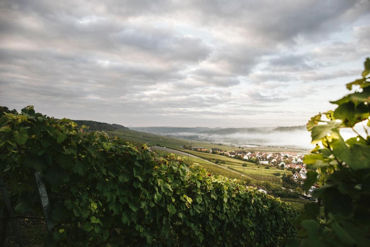 Weingut Pastoriushaus - Artur Steinmann Otel Sommerhausen Dış mekan fotoğraf